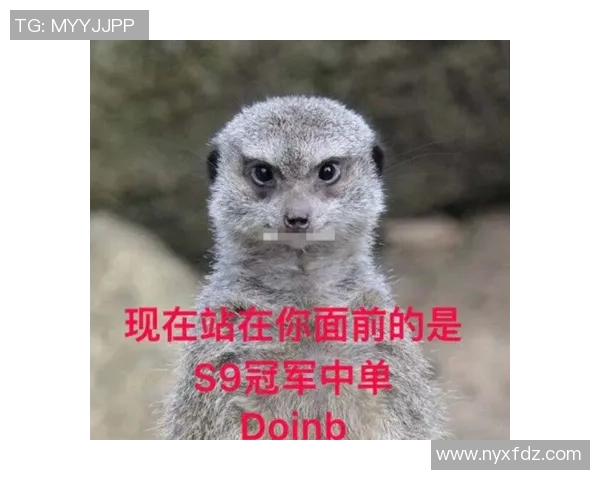 王者荣耀评论:FPX的中路突破得失 王者荣耀评论:FPX的中路突破得失