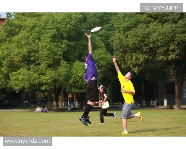 重磅专题:上海飞盘队的区域防守革新 重磅专题:上海飞盘队的区域防守革新